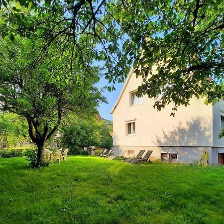 Rooms 4 Persons Kaysersberg Zewnętrze zdjęcie