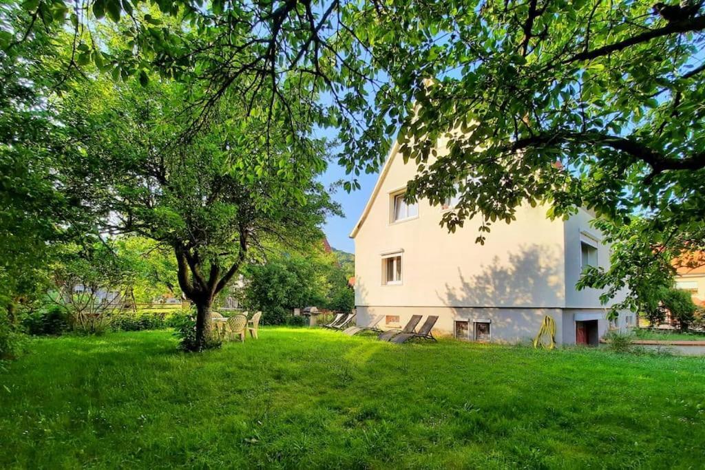 Rooms 4 Persons Kaysersberg Zewnętrze zdjęcie